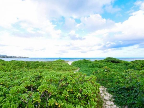 Kailua Lanikai Beach Home 1000994