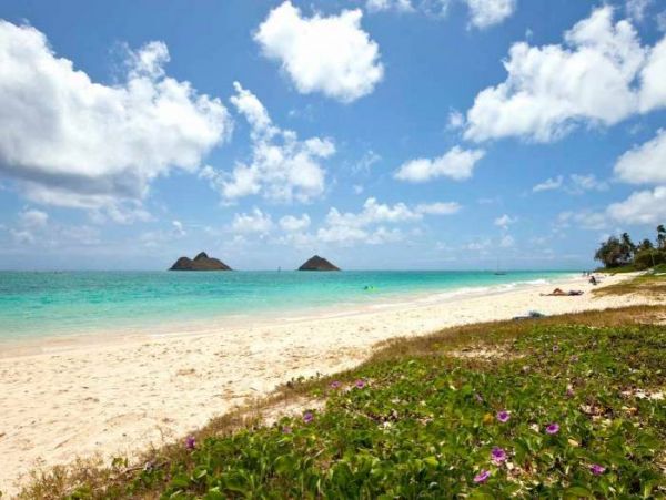 Kailua Lanikai Beach Home 1001013