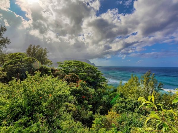 Princeville Home 1001032