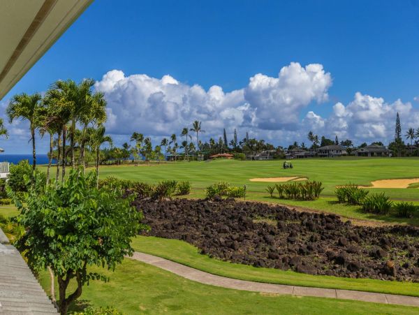 Princeville Condo 1001043
