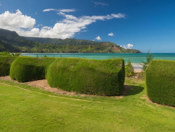 Hanalei Home 1001044