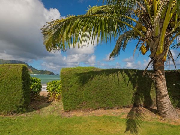 Hanalei Home 1001046