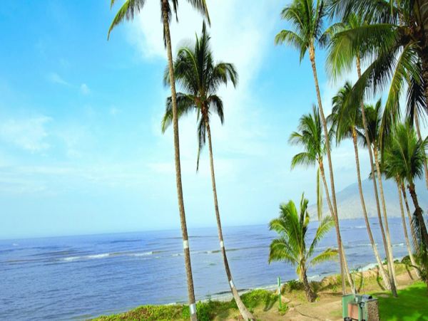 Kihei Home 1001053