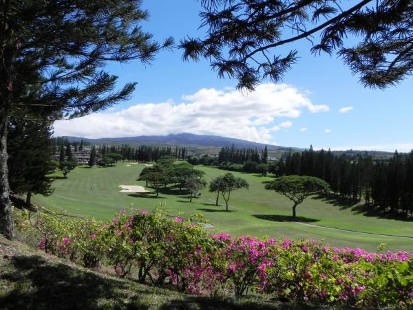 Ocean Views Kapalua Vacation Condo One Bedroom