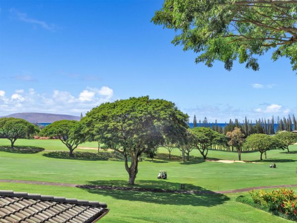 Kapalua Vacation Condo One Bedroom