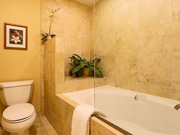 Kapalua Vacation Condo One Bedroom