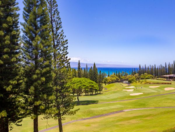 Kapalua Vacation Condo One Bedroom