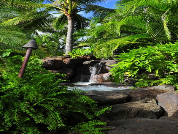Honolulu Diamond Head Kahala Home 1001094