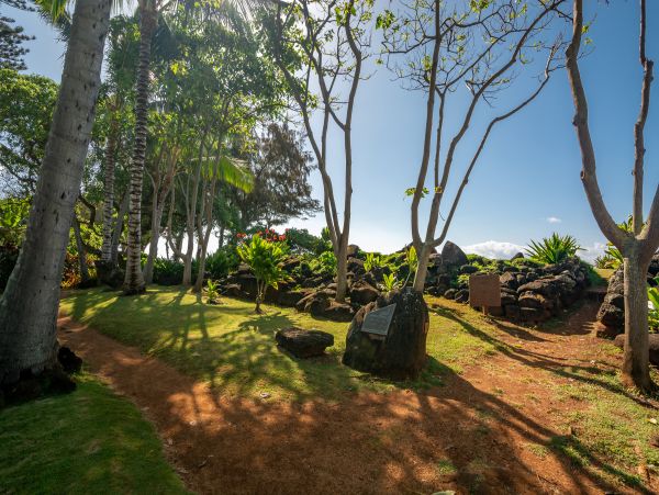 Koloapoipu Condo 1001153