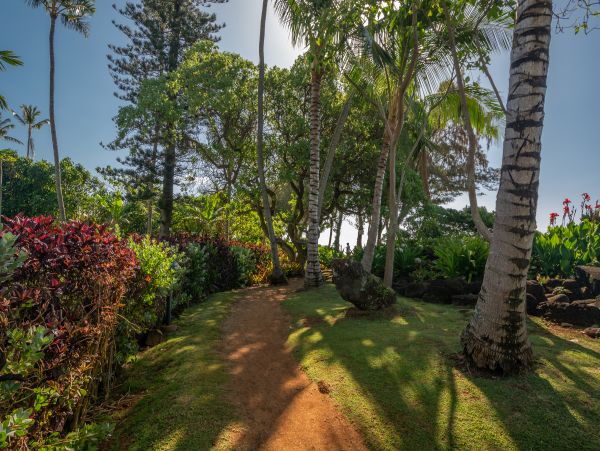 Koloapoipu Condo 1001153