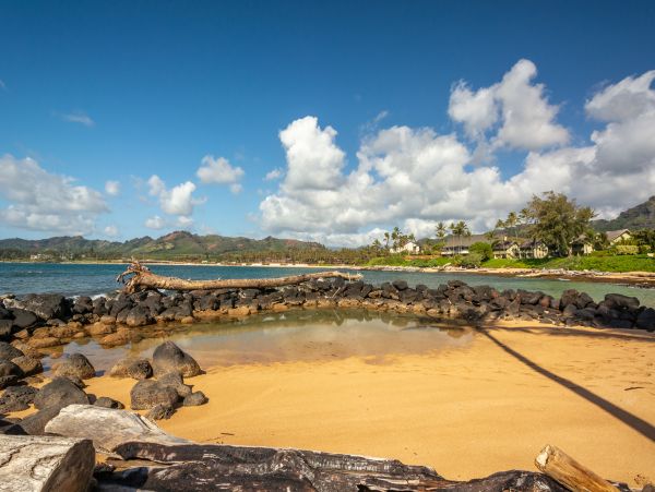 Koloapoipu Condo 1001153