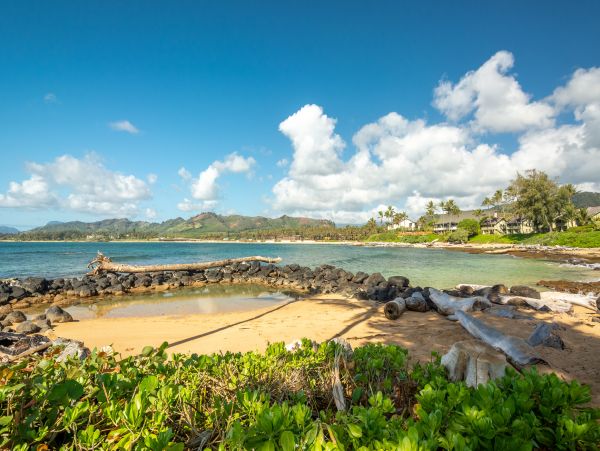 Koloapoipu Condo 1001153