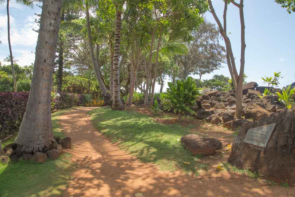 Koloapoipu Condo 1001156