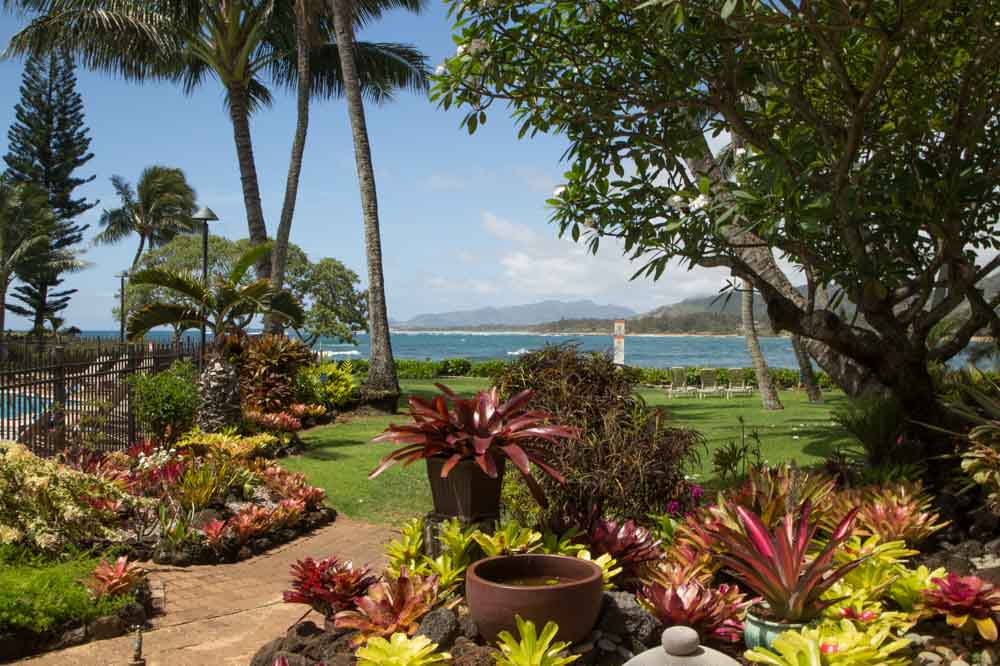 Koloapoipu Condo 1001156
