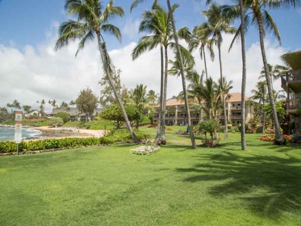 Koloapoipu Condo 1001156
