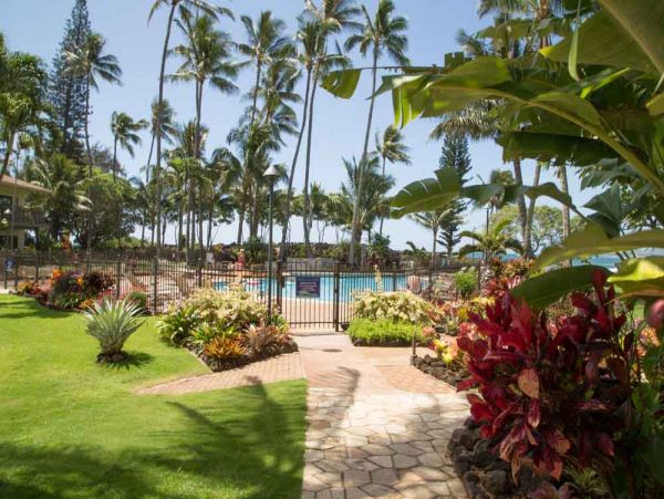 Koloapoipu Condo 1001156
