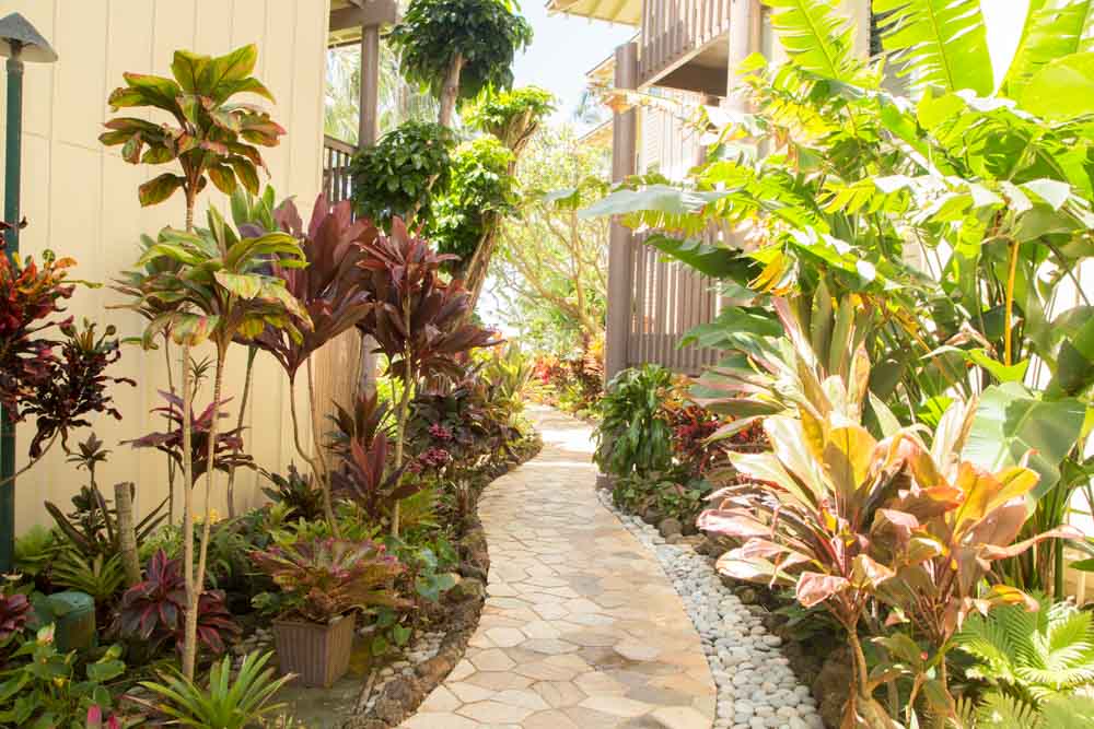 Koloapoipu Condo 1001156
