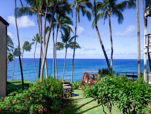 Oceanfront Bliss Just 5 Minutes from Poipu Beach & Brennecke's Beach