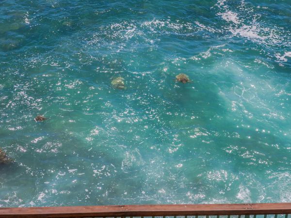 Poipu Stunning Three Bedroom Oceanfront Vacation Condo