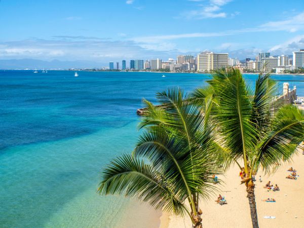 Honolulu Diamond Head Kahala Condo 1001175