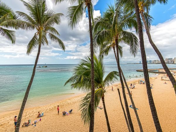 Honolulu Diamond Head Kahala Condo 1001192