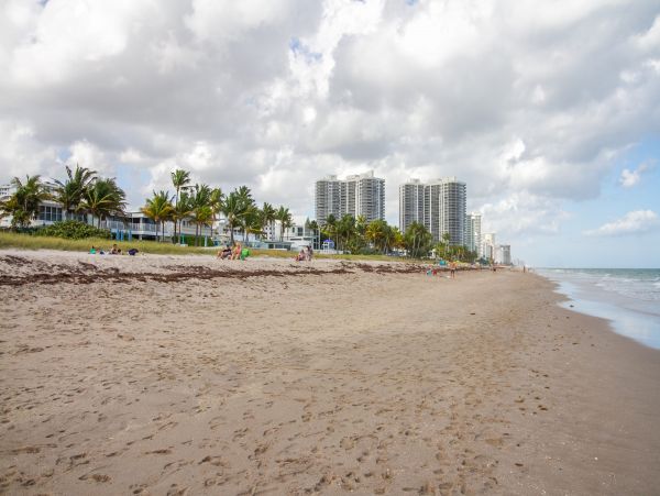Elegant 4 Bedroom Vacation Home with Pool in Fort Lauderdale