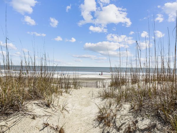 Hilton Head Four Bedroom Oceanfront Rental Sleeps 14