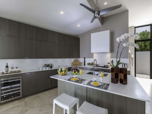 Anguilla Home 1001375