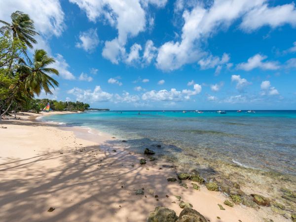 Luxury Beachfront with 5 Bedrooms in Barbados