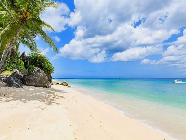 Barbados Home 1001561