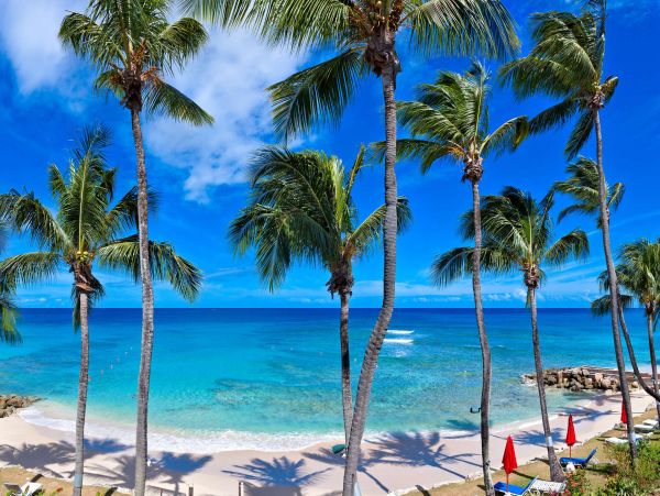Barbados Home 1001603