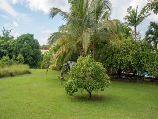 Barbados Home 1001609