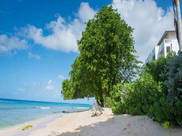 Barbados Home 1001635