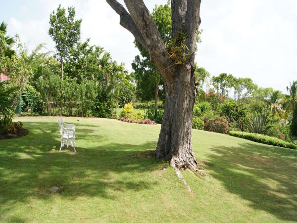 Barbados Home 1001664
