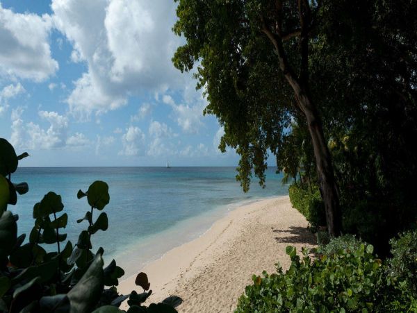 Barbados Home 1001667