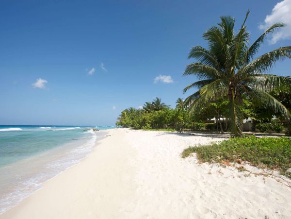 Barbados Home 1001668