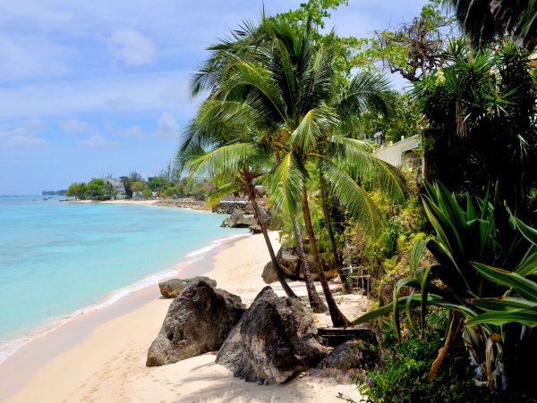 Barbados Home 1001676
