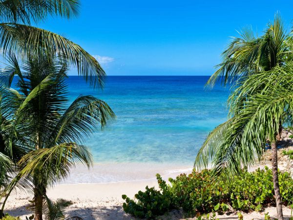 Barbados Home 1001722