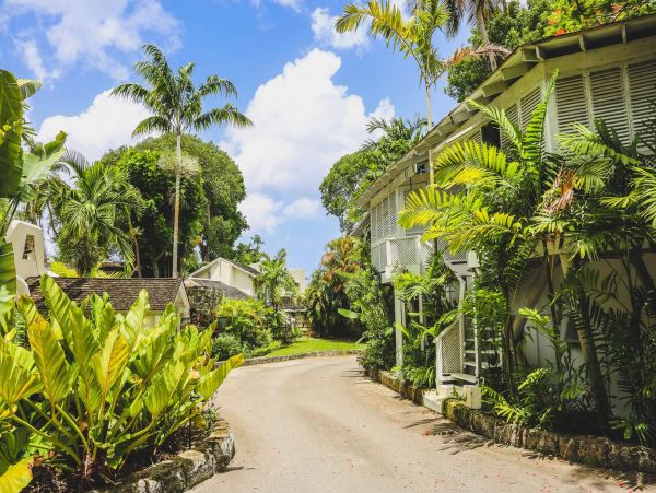 Barbados Home 1001742