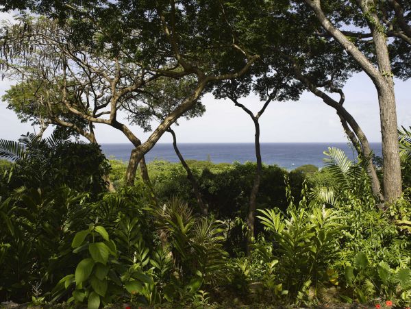 Barbados Home 1001744