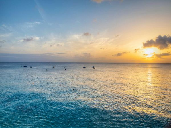 Barbados Home 1001744