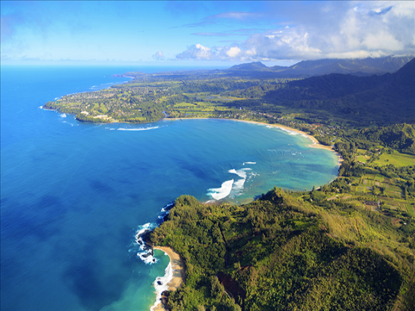 Hanalei Home 1001774