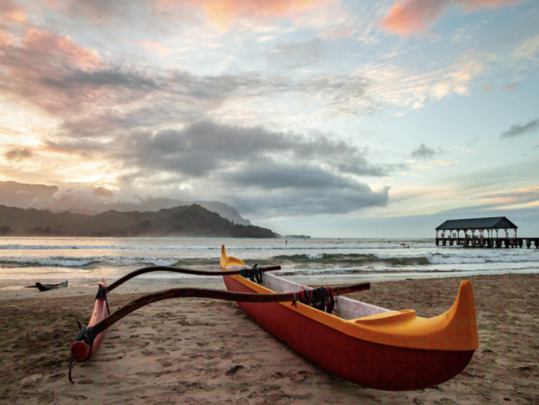Hanalei Home 1001775