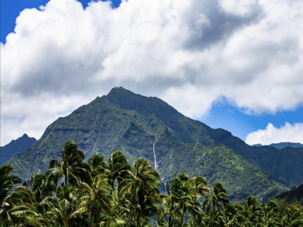 Hanalei Home 1001775
