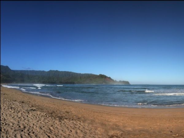 Hanalei Home 1001777