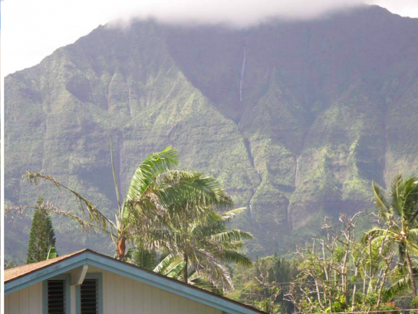Hanalei Home 1001779
