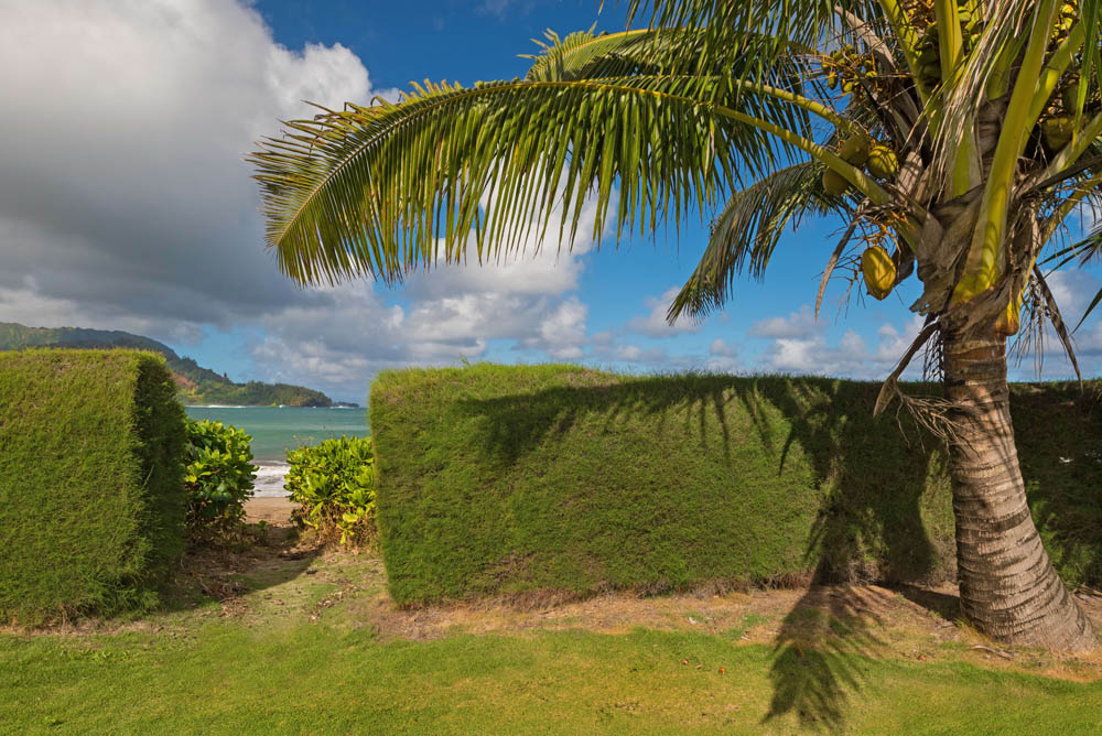 Hanalei Home 1001780