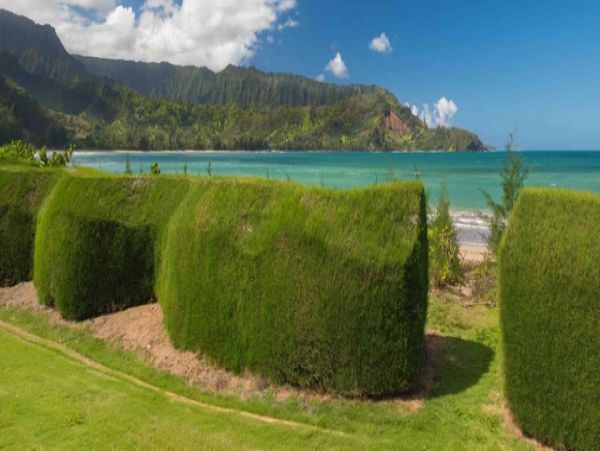Hanalei Home 1001781