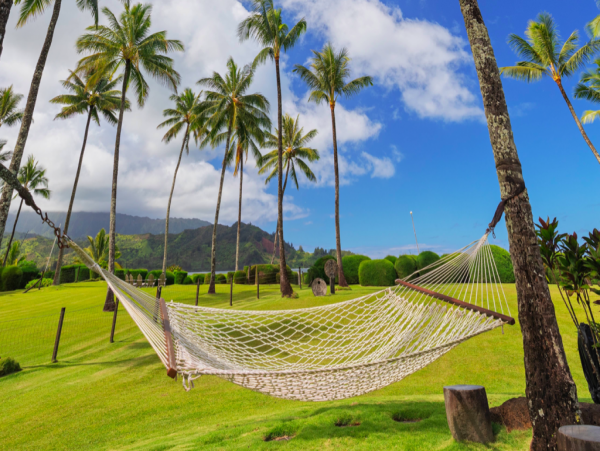 Hanalei Home 1001785
