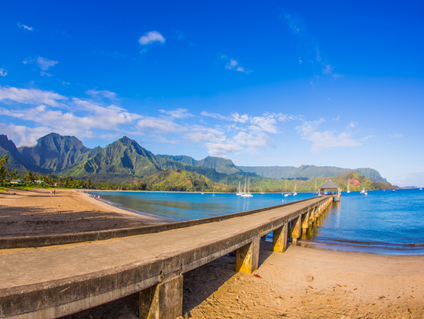 Hanalei Home 1001785